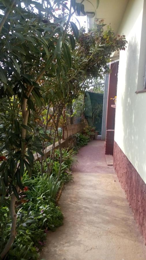 Pero Apartman Vila Sukošan Exterior foto